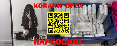 винт Ефремов