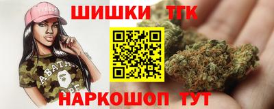 индика Железногорск