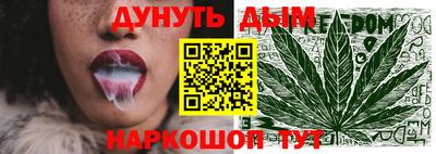 индика Железногорск