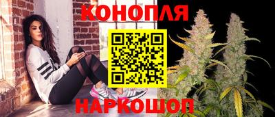 индика Железногорск