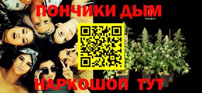 индика Железногорск