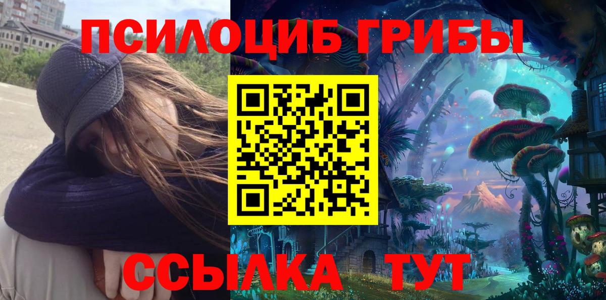 где можно купить наркотик  Галлюциногенные грибы мицелий  Вход с VPN  Шахты 