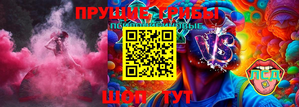 Псилоцибиновые грибы Psilocybe Шахты
